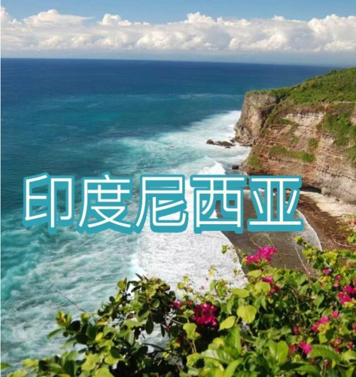 国际电商(印尼)产业博览会pg电子平台2025中国(图2)