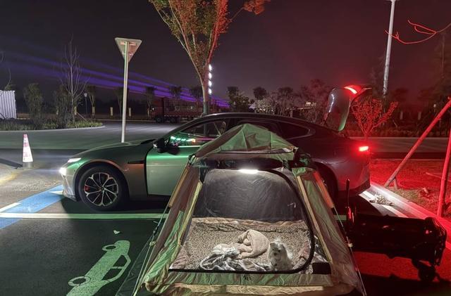 引关注 专家：鼓励探索精神 但安全是前提pg电子模拟器试玩年轻人旅游带帐篷过夜